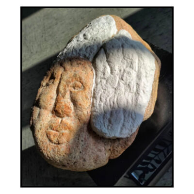 "Fredsdue med brækket vinge"